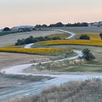 Profile pic di Strade mbrecciate